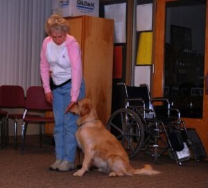 Paws Purpose therapy dog program