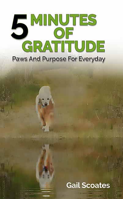 5 Minutes of Gratitude Book