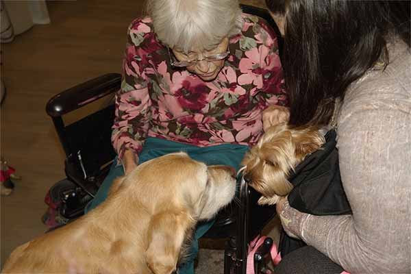 Paws Purpose Therapy Dogs