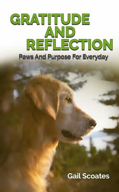 Gratitude and Reflections book